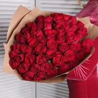 51 red roses Premium Kenya per package